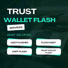 Flash USDT Software Online V 3.1